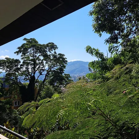 Aya Rejana Saraybosna