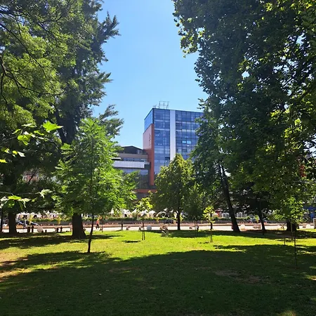 Aya Rejana * Saraybosna