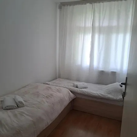 Aya Rejana *